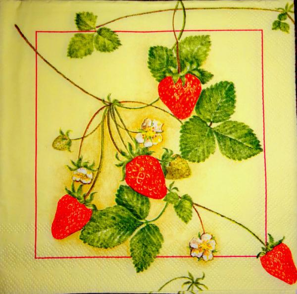 044 Berry - Ambiente